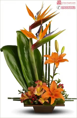 Nghệ Thuật Cắm Hoa Tươi 20 11