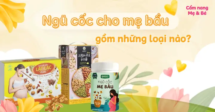 Ngũ Cốc Cho Bà Bầu Gồm Những Loại Hạt Gì