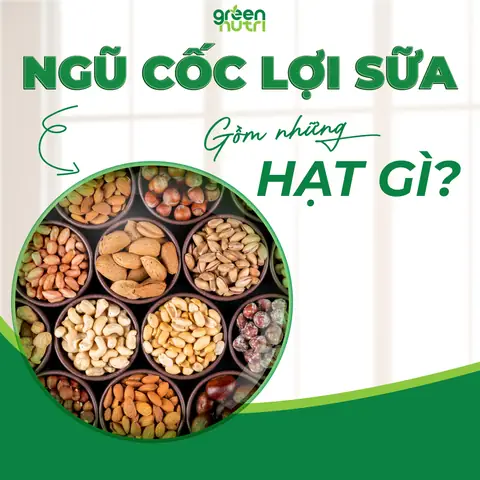 Ngũ Cốc Lợi Sữa Giảm Cân Gồm Những Gì Ngũ Cốc Lợi Sữa Giảm Cân Gồm Những Gì