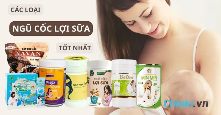 Ngũ Cốc Lợi Sữa Giảm Cân Gồm Những Gì Ngũ Cốc Lợi Sữa Giảm Cân Gồm Những Gì