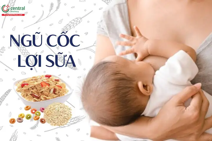 Ngũ Cốc Lợi Sữa Giảm Cân Gồm Những Gì Ngũ Cốc Lợi Sữa Giảm Cân Gồm Những Gì