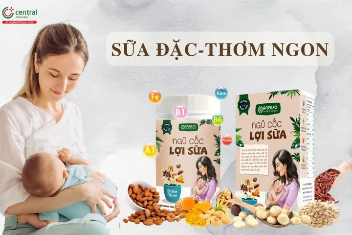 Ngũ Cốc Lợi Sữa Gồm Những Loại Hạt Gì
