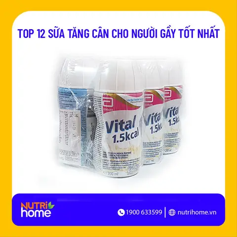 Người Gầy Uống Sữa Gì Cho Béo
