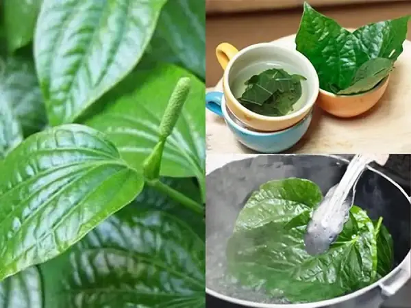 Nguyên Liệu Xông Hơi Da Mặt