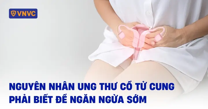 Nguyên Nhân Cổ Tử Cung Mở Sớm