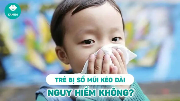 Nguyên Nhân Trẻ Bị Sổ Mũi Nguyên Nhân Trẻ Bị Sổ Mũi