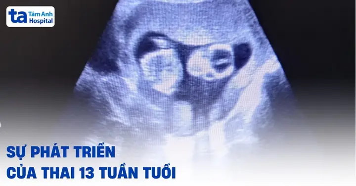 Nhạc Cho Thai Nhi 13 Tuần