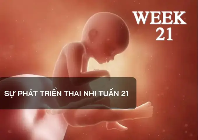 Nhạc Cho Thai Nhi 21 Tuần Tuổi