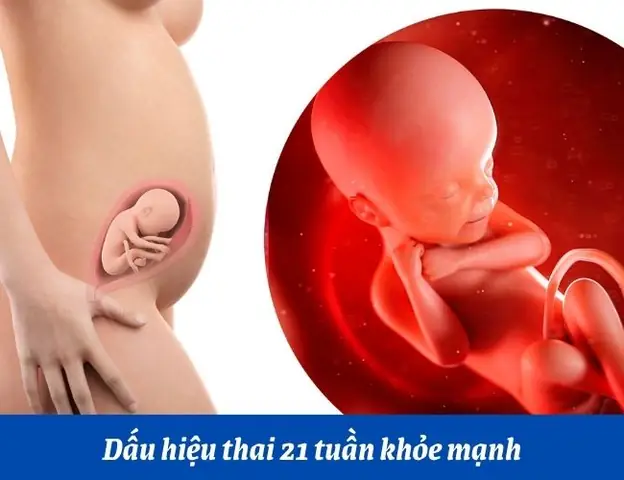 Nhạc Cho Thai Nhi 21 Tuần Tuổi
