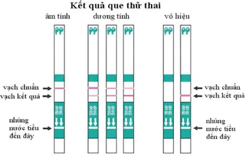 Nhận Biết Que Thử Thai 2 Vạch