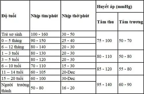 Nhịp Thở Của Bé 1 Tuổi