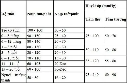 Nhịp Tim Của Trẻ 8 Tuổi Là Bao Nhiêu