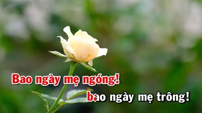 Những Ca Khúc Hát Về Mẹ Hay Nhất