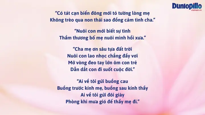 Những Câu Ca Dao Nói Về Bàn Tay Mẹ