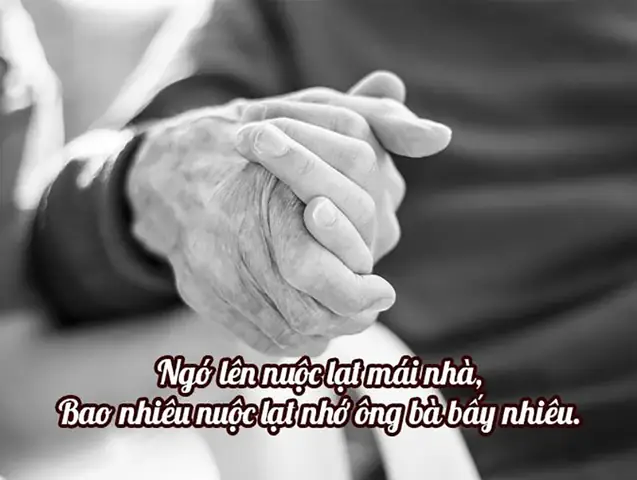 Nhung Cau Ca Dao Tuc Ngu Ve Cha Me