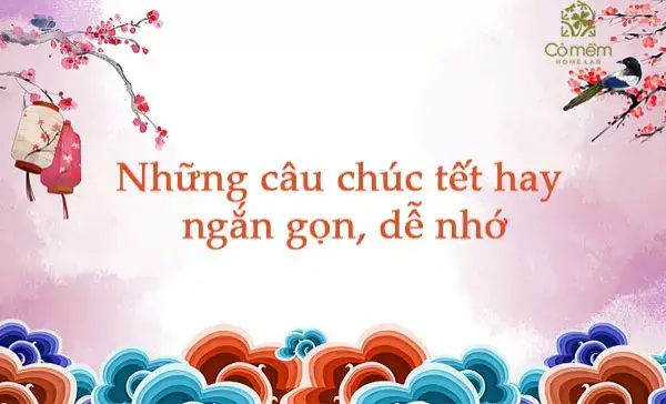 Những Câu Chúc Tết Ngắn Gọn Mà Hay