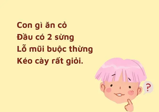 Những Câu Đố Cho Bé 6 Tuổi
