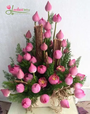 Những Lẵng Hoa Đẹp Nhất 20 11