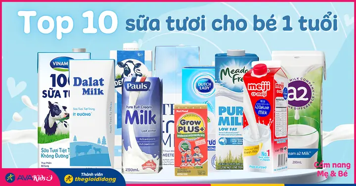Những Loại Sữa Tốt Nhất Cho Bé Dưới 1 Tuổi