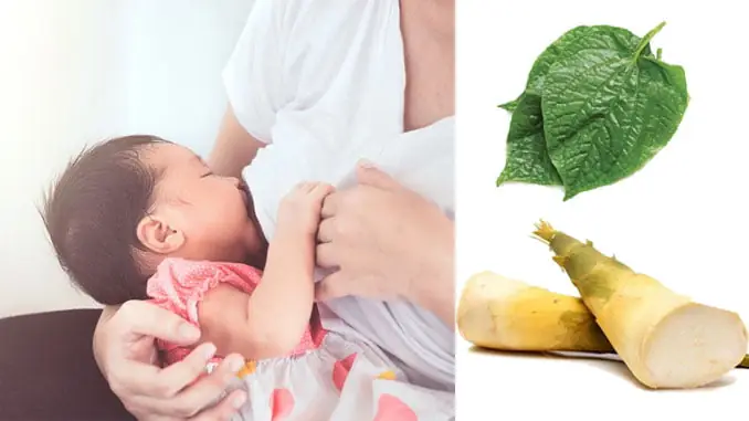 Những Loại Thực Phẩm Gây Mất Sữa