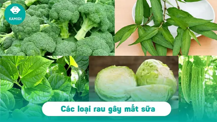 Những Loại Thực Phẩm Gây Mất Sữa