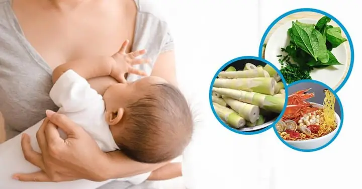 Những Loại Thực Phẩm Gây Mất Sữa
