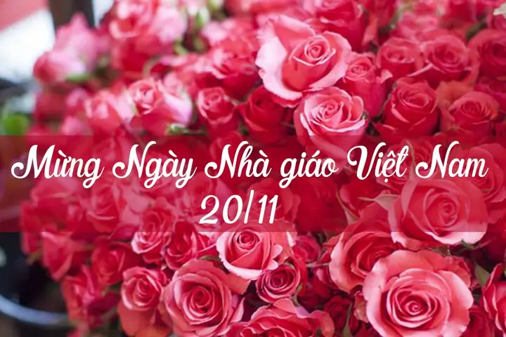 Những Lời Chúc Mừng Ngày Nhà Giáo Việt Nam Hay