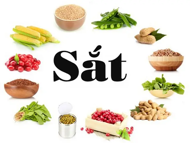 Những Ngày Đầu Mang Thai Nên Ăn Gì