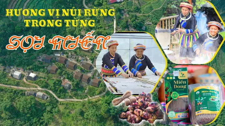 Nui Có Nhiều Tinh Bột Không