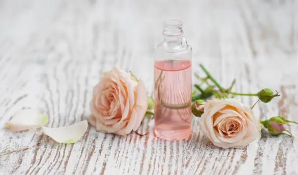 Nước Hoa Chicco Có Tốt Không