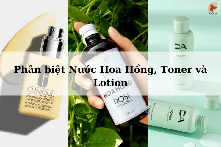 Nước Hoa Hồng Là Toner Hay Lotion Nước Hoa Hồng Là Toner Hay Lotion