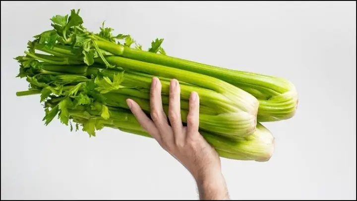Nước Uống Giảm Cân Từ Cần Tây Nước Uống Giảm Cân Từ Cần Tây