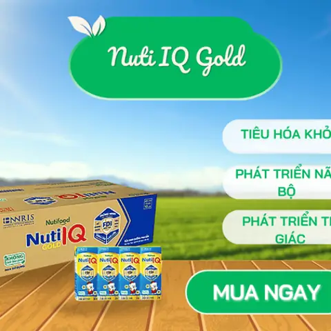 Nuti Iq Gold Hộp Pha Sẵn Nuti Iq Gold Hộp Pha Sẵn