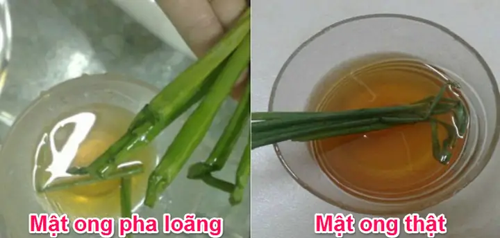 Phan Biet Mat Ong Gia Va That
