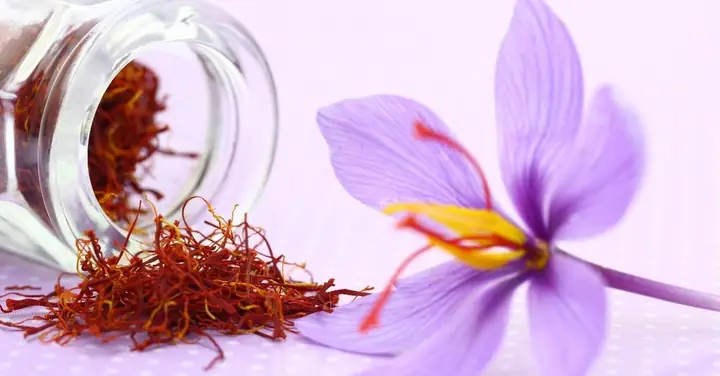 Phụ Nữ Có Thai Uống Saffron Được Không