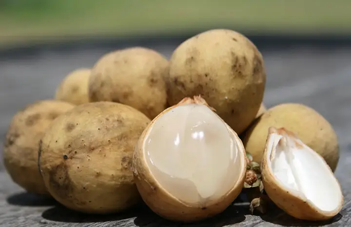 Quả Bòn Bon Tốt Cho Bà Bầu Quả Bòn Bon Tốt Cho Bà Bầu