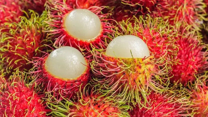 Quả Chôm Chôm Có Tốt Cho Bà Bầu Không Quả Chôm Chôm Có Tốt Cho Bà Bầu Không