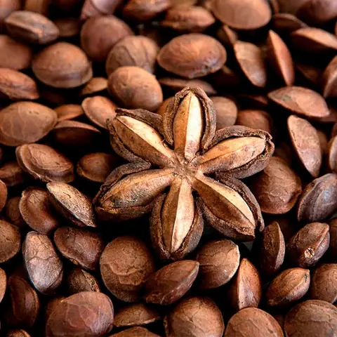 Quả Sachi Có Tác Dụng Gì