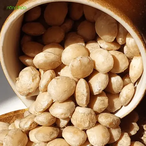 Quả Sachi Có Tác Dụng Gì
