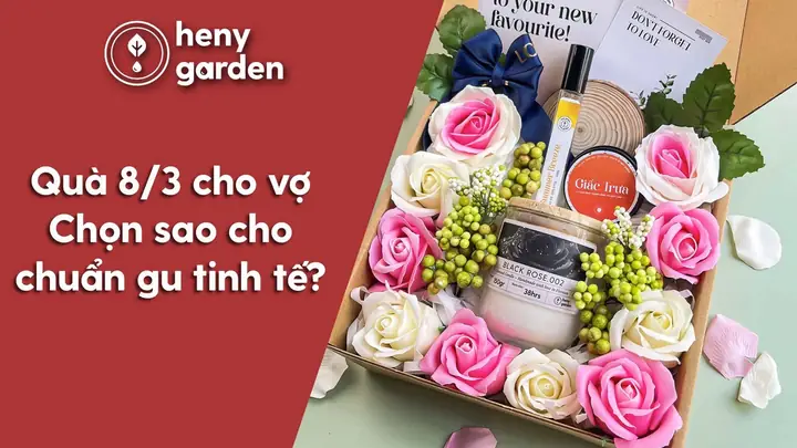 Quà Tặng Cho Vợ 8 3 Quà Tặng Cho Vợ 8 3