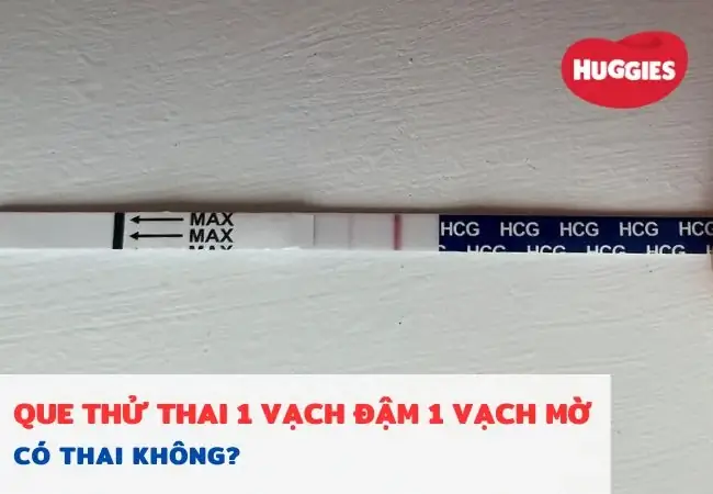 Que Thử Thai Xuất Hiện 2 Vạch Mờ