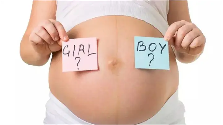 Rau Bám Mặt Sau Là Trai Hay Gái