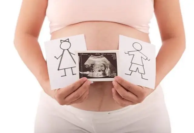 Rau Bám Mặt Sau Là Trai Hay Gái