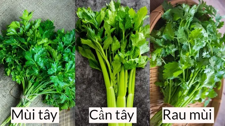 Rau Cần Tây Có Gây Mất Sữa Không