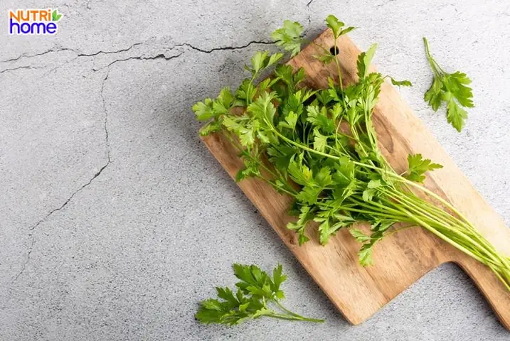 Rau Cần Tây Có Gây Mất Sữa Không
