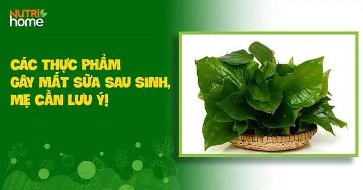 Rau Cần Tây Có Gây Mất Sữa Không