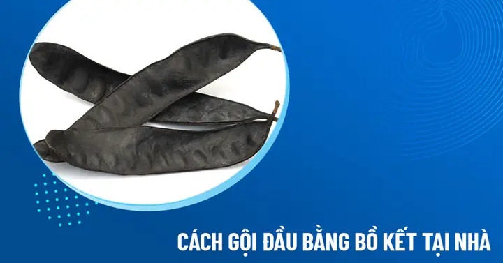 Review Gội Đầu Bằng Bồ Kết
