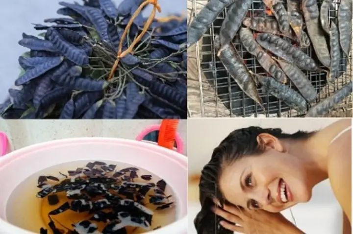 Review Gội Đầu Bằng Bồ Kết