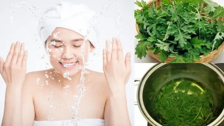 Rửa Mặt Bằng Nước Ngải Cứu