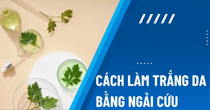 Rửa Mặt Bằng Nước Ngải Cứu